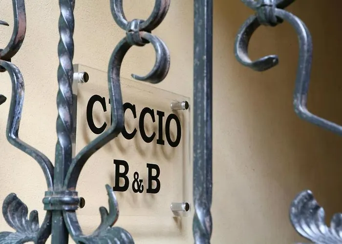 Couette-café Ciccio 3*