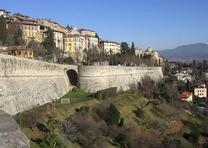 Ciccio Couette-café